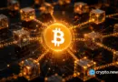 Bitcoin policy group joins U.S. State Department freedom tech push