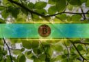 Bitcoin’s Recovery Gains Momentum, Putting July Off to a Strong Start