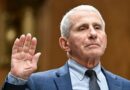 Can Republicans Actually Send Anthony Fauci to Jail?