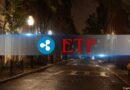 XRP ETFs Record First Red Week In Months