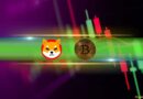 These Meme Coins Steal the Show as Bitcoin Defends $64K Support: Weekend Watch
