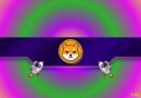 Shiba Inu Price Soars 35% on a Dull Day as Whale Returns With Massive SHIB Purchase