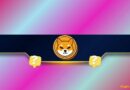 Shiba Inu (SHIB) Team Faces Backlash Over Controversial Social Media Campaign: Details