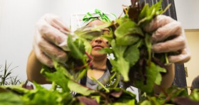 Salad Chains Are Seeing Foot Traffic Drop Over Cyclosporiasis Fears
