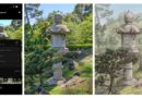 Adobe camera app’s new feature will critique your photos using AI