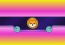 Key Shiba Inu Metric Reaches a New ATH, Yet SHIB’s Price Keeps Sliding: Details