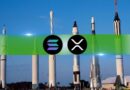 XRP and SOL Investment Products Defy Crypto Slump as Billions Pour In While Bitcoin Bleeds