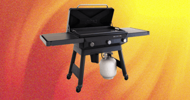 The Best July 4 Grill and Griddle Deals: Weber, Traeger, Recteq