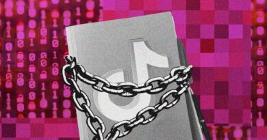 European researchers want to study social media’s harms but can’t get the data