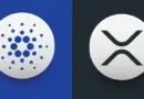 Cardano-grundaren lyfter fram Ripples framsteg, förutspår tillväxt för XRP och ADA.