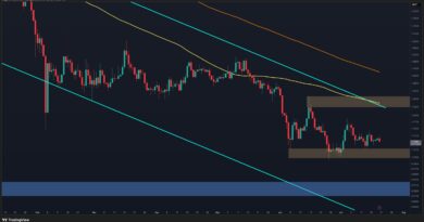 What’s Next for XRP After Holding Key Support?