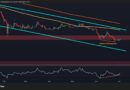 Bullish Divergence Emerges as XRP Defends $1 Support Zone