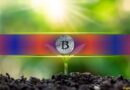 This Group of Bitcoin (BTC) Investors Is Taking Over the Market