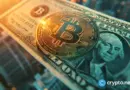 What is an ancillary asset? The word deciding crypto’s fate
