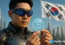 South Korea stablecoin plan could bypass crypto law delay