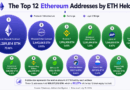 Ethereum’s 12 Biggest Wallets Expose 6 Exchanges Controlling 6.6 Million ETH