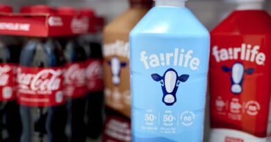 Coca-Cola suspended production at its Fairlife dairy after a ransomware attack