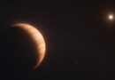Webb telescope gets unprecedented look at dead star’s surviving planet
