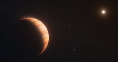 Webb telescope gets unprecedented look at dead star’s surviving planet