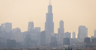 6 best home air purifiers tested: Banish wildfire smoke, pet dander, and more