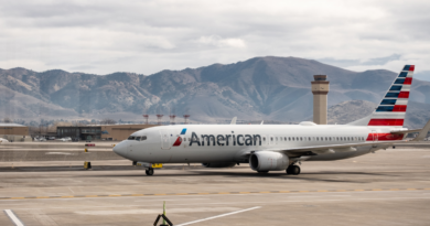 American Airlines briefly grounded in U.S. by IT issue