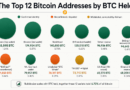Who Holds 1.35 Million BTC