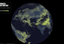 There’s a Global Network of Fungi Under Your Feet. This Is the First Complete Map