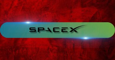 Why SpaceX (SPCX) Stock Has Crashed Nearly 50% Since Its June Peak