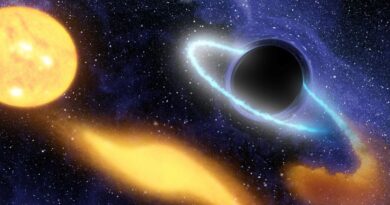 The Galaxy’s Fastest Star Could Reveal the Secrets of a Supermassive Black Hole