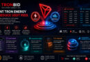 Rent TRON Energy and Reduce USDT Fees: TronBid Expands Marketplace
