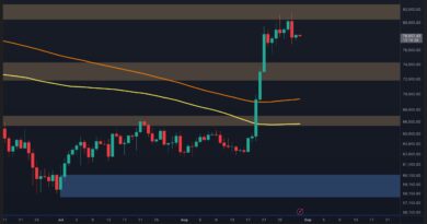 Is BTC Entering a Consolidation Phase After Its Explosive Rally?