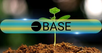 Base Passes Solana in Curated Capital Milestone (Flash News)
