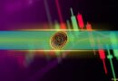 Bitcoin Dominance Rises as BTC Hits a Weekly High Above $64K: Market Watch