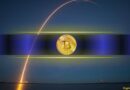 Why Did Bitcoin Explode Past $81K? 4 Macro Factors Behind the Rally