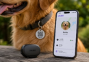 Life360’s $8 Pet Tag vs Pet GPS: What Each One Does