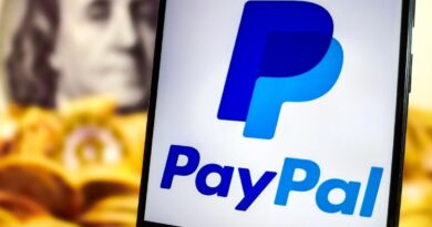 Talks to sell PayPal to Stripe and Advent are heating up