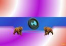 Analysts Explain Why It Could Plunge in the Short Term