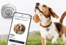 Life360 expands pet tracking with new $8 scannable tags and zoomie alerts