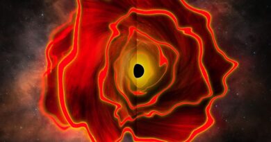 Astronomers Discover the Existence of a Black Hole Star