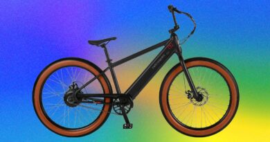 Retrospec Joe Rev 2 Review (2026): Putting the ‘Joy’ in Joyride