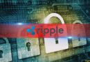 Attacker Drains 200K XRP From Bridge Using Fake Deposit