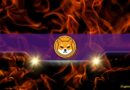 Here’s How Many SHIB Tokens Were Burned in July