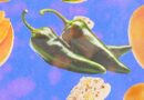 Salmonella Is Everywhere | WIRED