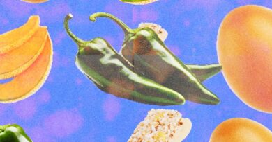 Salmonella Is Everywhere | WIRED