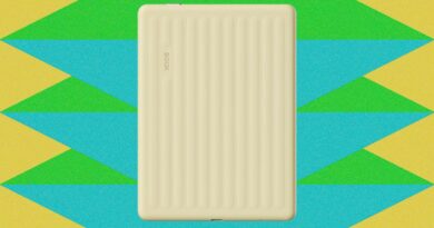 The Best E-Readers of 2026: Kobo, Kindle, Boox