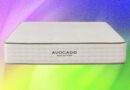 Best Organic Mattresses (2026): Certified Nontoxic, Natural Sleep