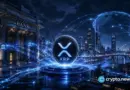 XRP ETFs gain ground in two US fund filings