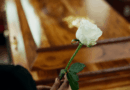 Bitcoin Has Been Declared Dead 21 Times in 2026, Yet It Won’t Stay Buried