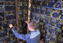 Bitcoin Miners Face August Showdown After Revenue Rebound