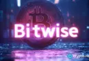 Bitwise Solana ETF approved for loans at 25% LTV